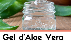 Gel d'aloe vera